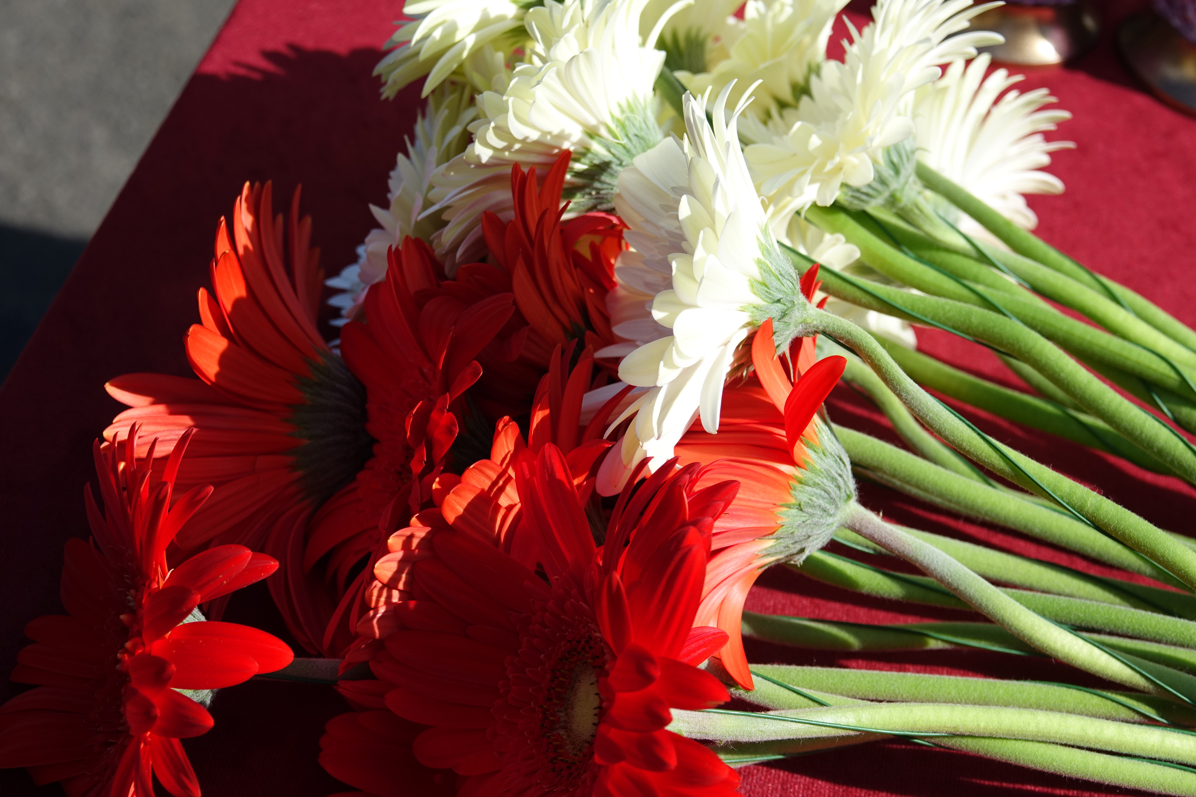13 kwietnia, obchodzimy Dzień Pamięci Ofiar Zbrodni Katyńskiej 