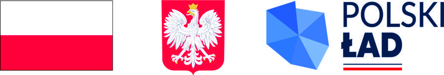 Zdjęcie przedstawia flagę Polski, herb, logo Polskiego Ładu